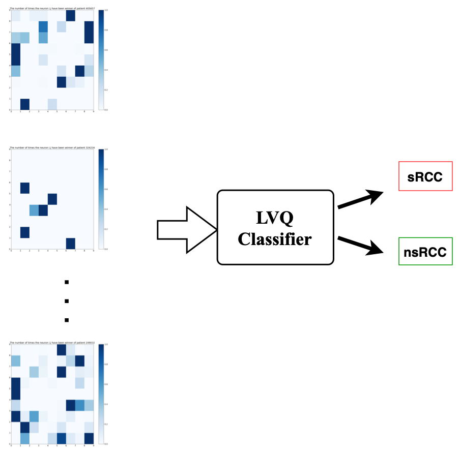 System Model