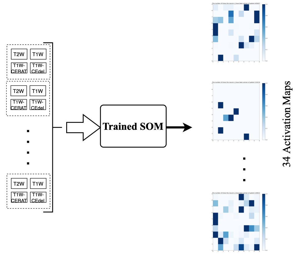 System Model